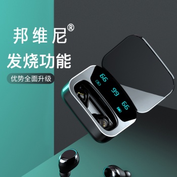 9類(lèi)邦維尼